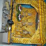 Vraj-Yatra-2014- (1412)